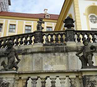 Schloss Moritzburg