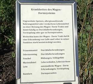 Klostergarten - Garten der Pilger Oberelchingen