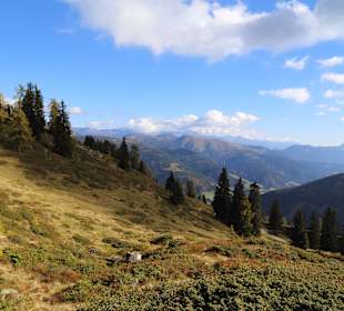 Niedergailer Alm-Lesachtal
