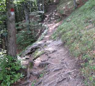 Aufstieg zur Gaisalm