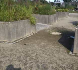 Botanischer Garten München