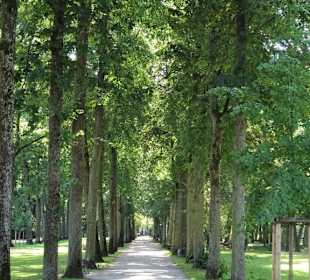 Spaziergang durch den Hofgarten Bayreuth