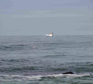 Strand Kolberg/Kolobrzeg