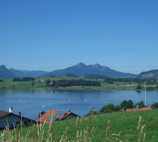 Blick  auf dem Hopfensee