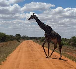 Tsavo Ost Nationalpark