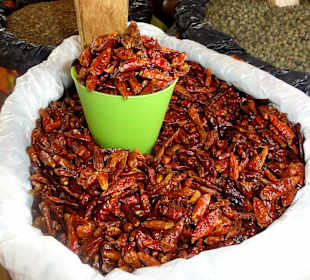 Gewürze auf dem Marché Saint-Antoine