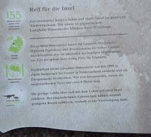 Dinosaurier Museum Altmühltal