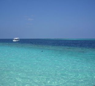 Island Hopping