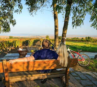 Radwege in den Weingärten