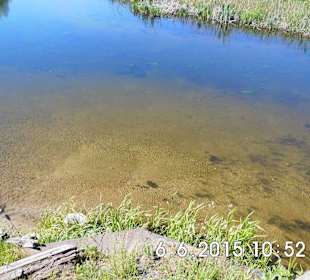 Piękna Krutynia, postój podczas spływu.