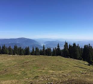 Grüner Ausblick oben auf Berge und Täler