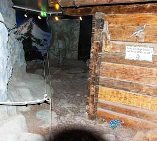 Im Museum Schutzhaus
