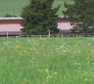 Sportanlagen Undingen