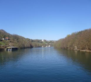 Der Rhein am Rheinfall