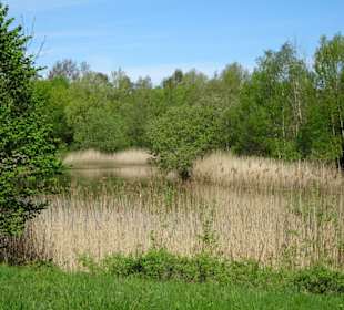 Eindrücke aus dem Walter-Peters-Park