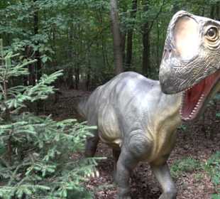 Dinosaurier Museum Altmühltal