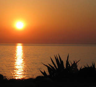 Sonnenuntergang während des Abendessens