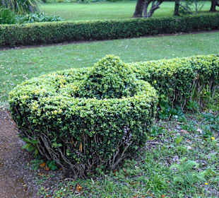 Palheiro Gardens