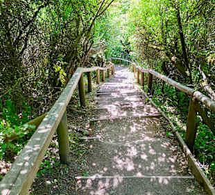 Wandern Sellin auf Rügen