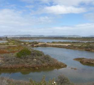 Bei einer Wanderung im Park Natural Ria Formosa