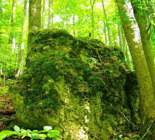 Wanderung zum Bärenfels