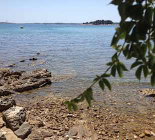 Aussicht vom Restaurant Oktopus 200 Meter vom Hotel Park Pla