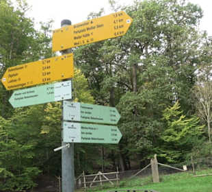 Altwege Rundwanderung Bebenhausen