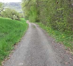 Naturerlebnisweg des NABU-Metzingen