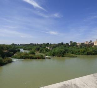 Blick von der Brücke