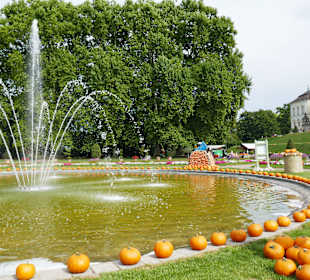 Herrlicher Springbrunnen