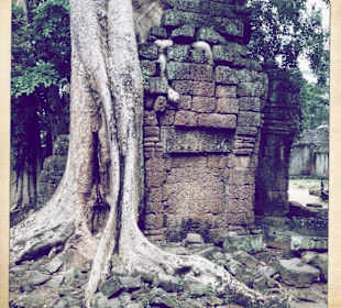 Ta Prohm