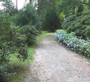 Barockschloss Rammenau