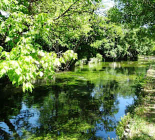 Am Wasser der Sorgue