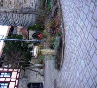 Innenbereich - Garten