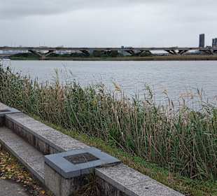 Yanping Riverside Park
