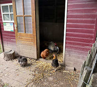 Steinerbos Belevenispark