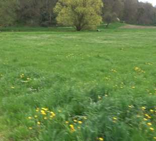 Eiszeitpfad - Burgfelsenpfad