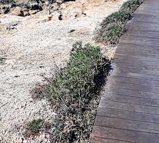 Der Weg ist das Ziel