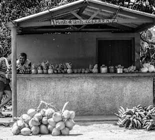 Hütte mit Kokosnüssen zum trinken 