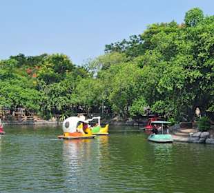 Tretbootsee