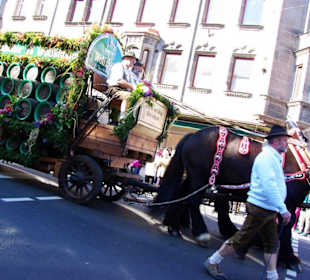 Brauerei Wolfshöher Neunkirchen a.S. Vierer-Gespan