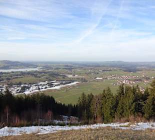 Ausblick