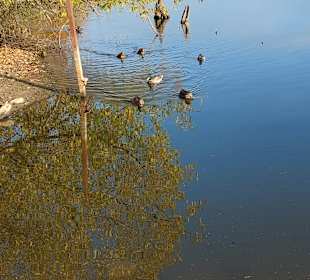 Stadtrundgang Kolobrzeg/Kolberg