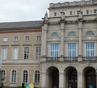 Beim Staatlichen Museum für Naturkunde Karlsruhe