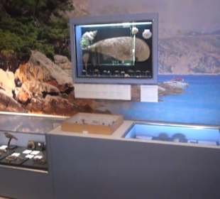 Niedersächsisches Landesmuseum