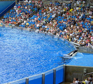 Sea World