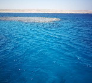 Schnorcheln Abu Soma