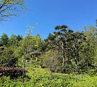 Nepal-Himalaya-Pavillon