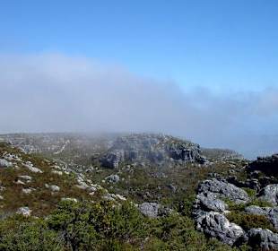 Wanderung auf denTafelberg