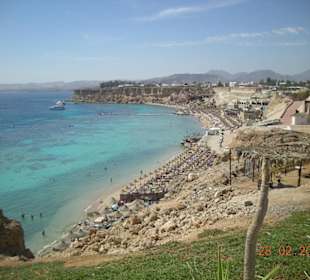 Plaża sharm